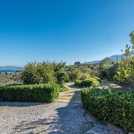 Olive Garden Vila Экзополис Экстерьер фото